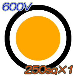 CV250sq×1C　50m