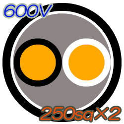 CV250sq×2C　50m