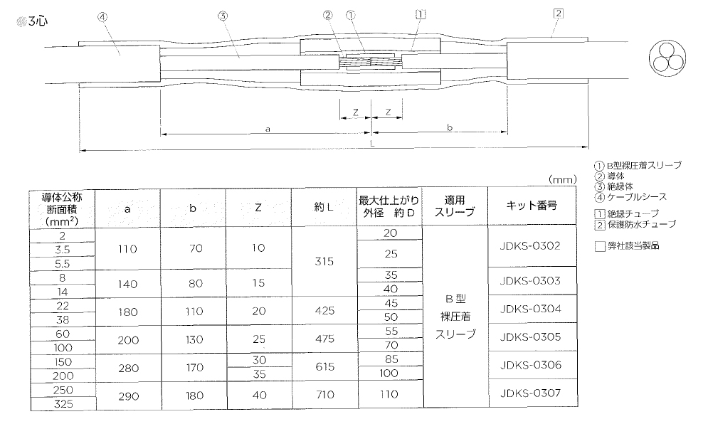 図面 レイケム Raychem