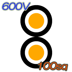 600V CVD 100sq  10m