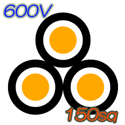 CVT150sq　100m