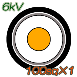 6kV CV100sq×1C 10m