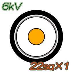 6kV CV22sq×1C 10m