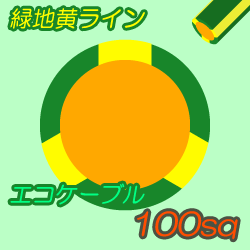 エコケーブルEM-IE100sq G/Y 10m