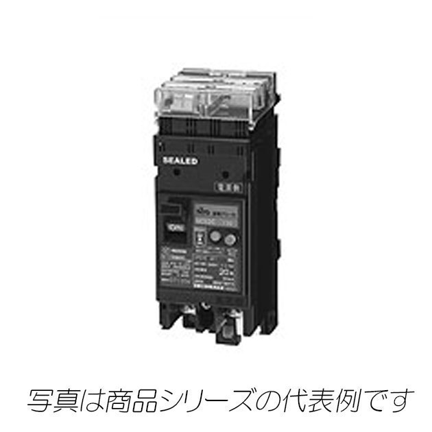 GE52CPS　2P　30A　F100　プラグインユニット付漏電ブレーカ