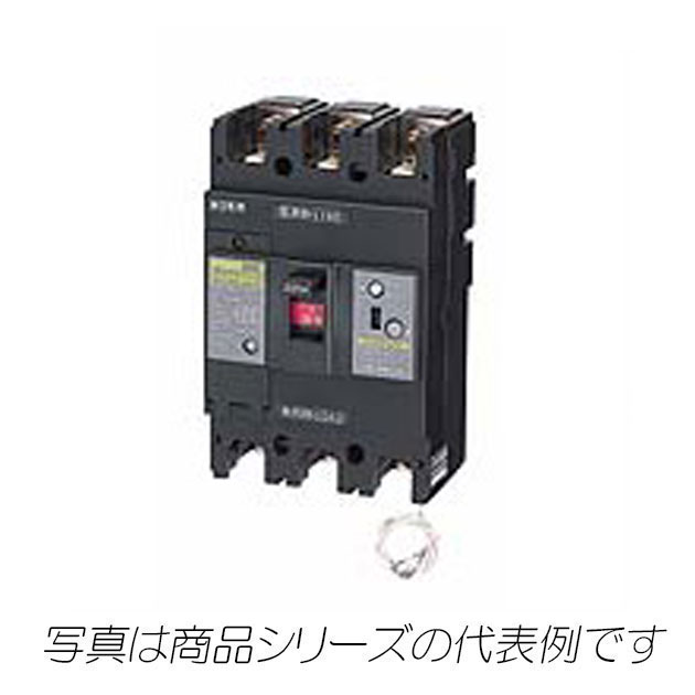 GE68NA　3P　60A　F100　単3中性線欠相保護付　漏電ブレーカ（経済形）